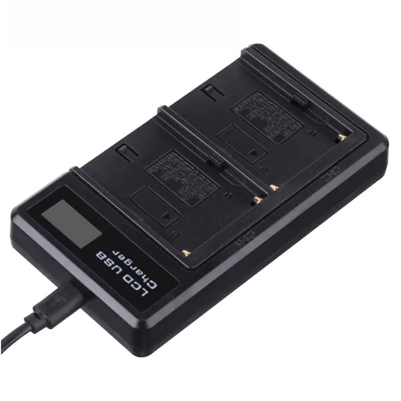 Dual USB Charger For NF550/F570/F750/F770/F960/F970/F980/F990/FM50/FM5 Batteries Fast Micro USB & Type-C Charging