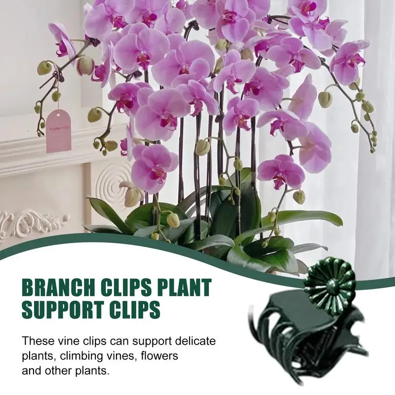 Plant Clips For Support 100PCS Tomato Clip Orchid Clips Garden Clips Stable Trellis Clips For Climbing Plants Grow Upright For