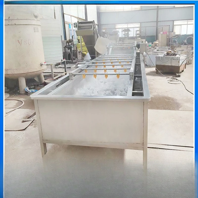 

Bubble Surf Fruit Washing Machine, Litchi Longan