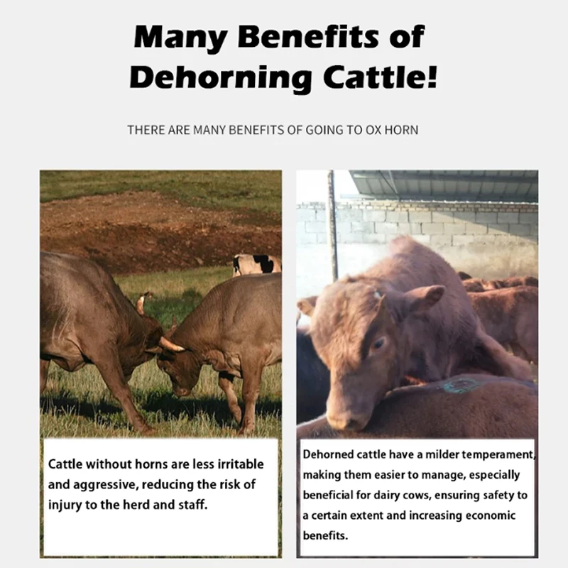 1700W Electric Dehorning Saw Horn Dehorning Tool Dehorning Full Set of Cattle and Sheep Dehorne Artifact Horn Cutting Machine