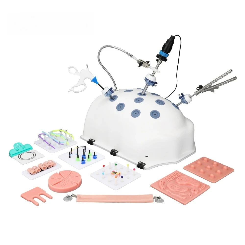 High Simulation Belly Type    Trainer Laparoscopic Training Box Simulator with 11 Modules