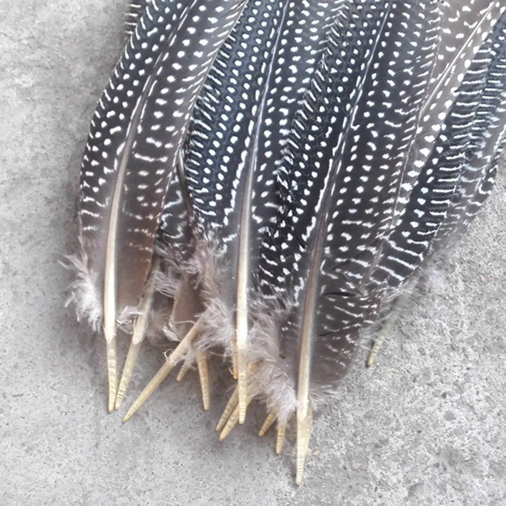 

50pcs DIY Natural Pheasant for Wedding Masquerade Headwear Jewelry Craft Materials Holiday