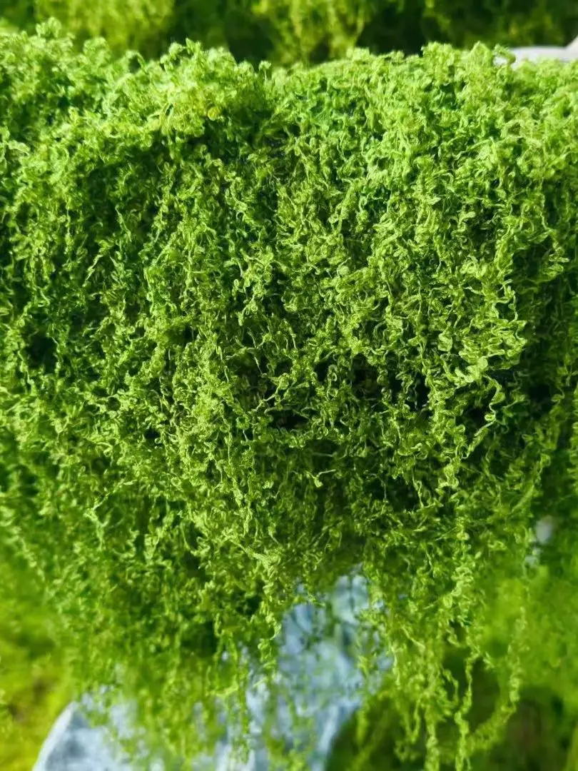 Dijy Artificial Bio…