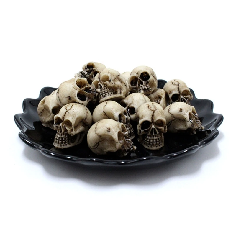 40pcs Small Collection Mini Skull Models for Home Decor and DIY Project