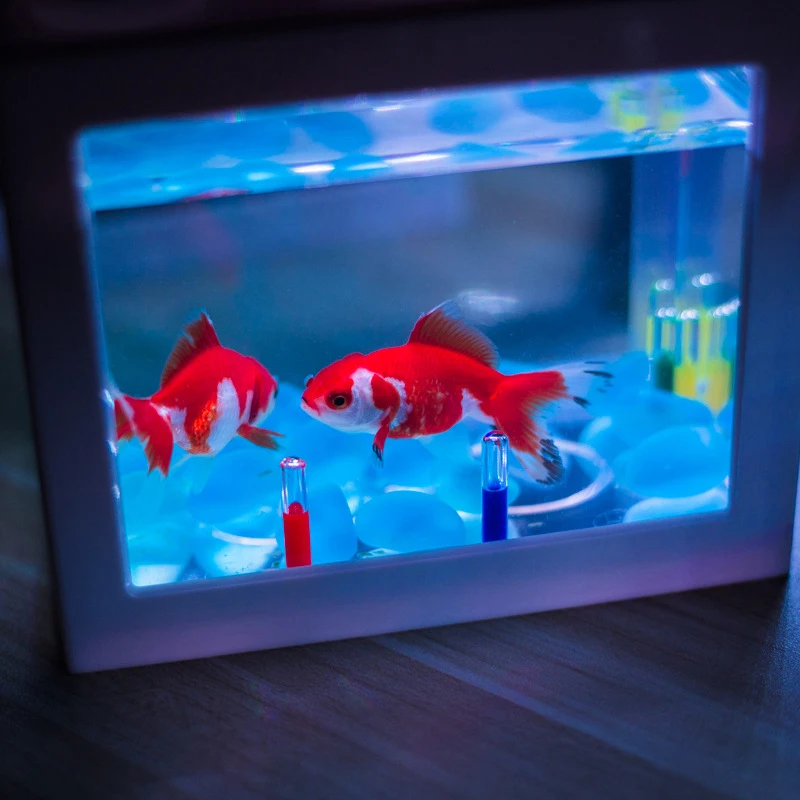 Mini Aquarium Fish Tank Lamp Control Color Circular fish tank AquariumMini Fish Tank Light Home Decoration Aquarium Accessorie