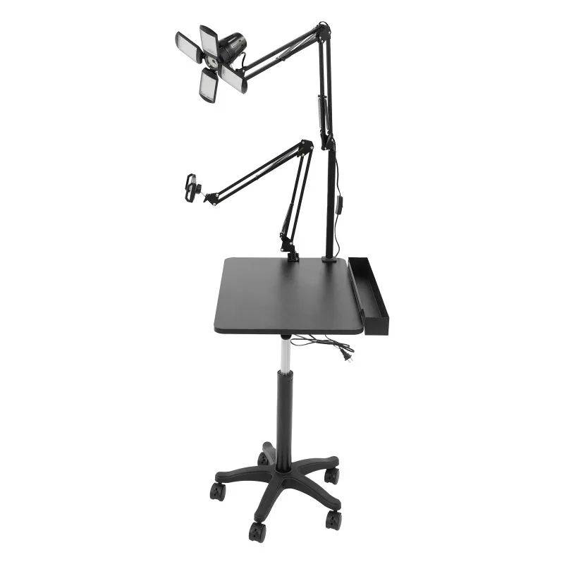 Mobile Tattoo Workbench, Rolling Tattoo Cart, Adjustable Studio Workstation with LED Light & Phone Holder for Home Studio