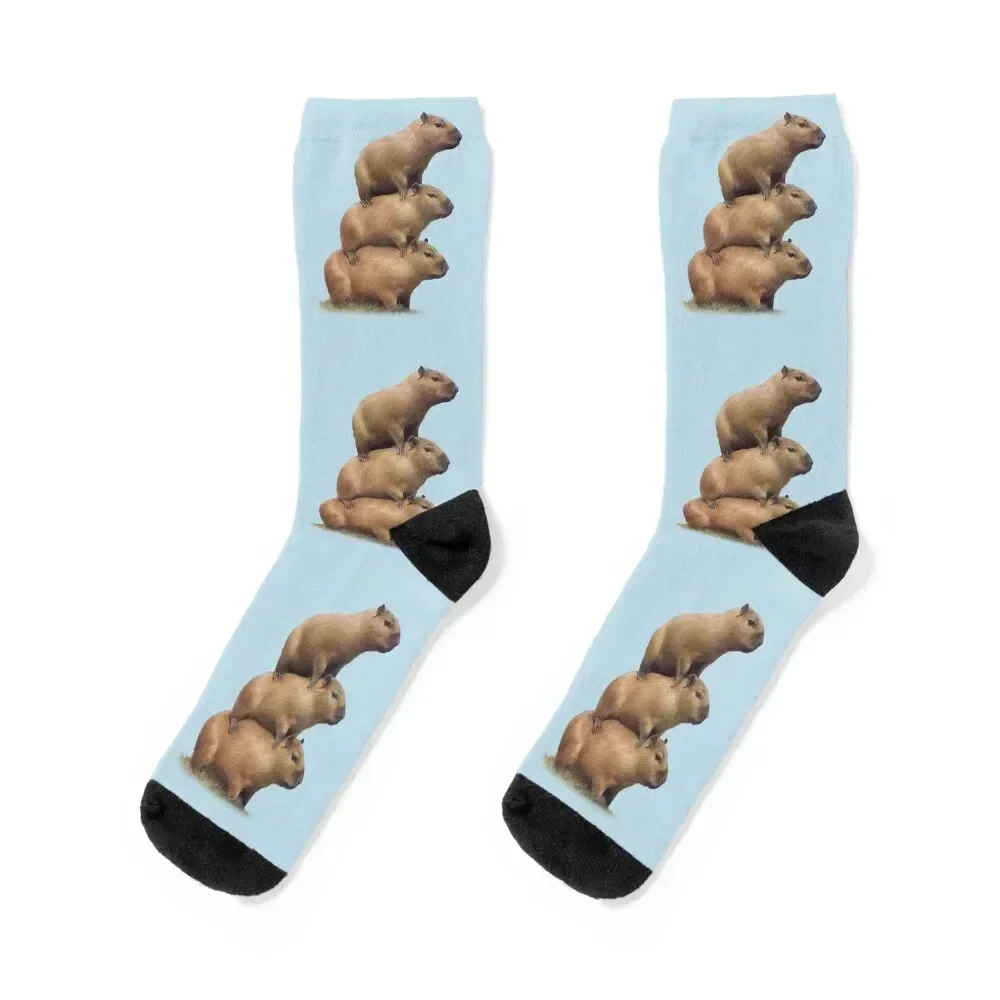

capybara capybara Socks soccer anti-slip valentine gift ideas Toe sports sport Socks Girl Men's