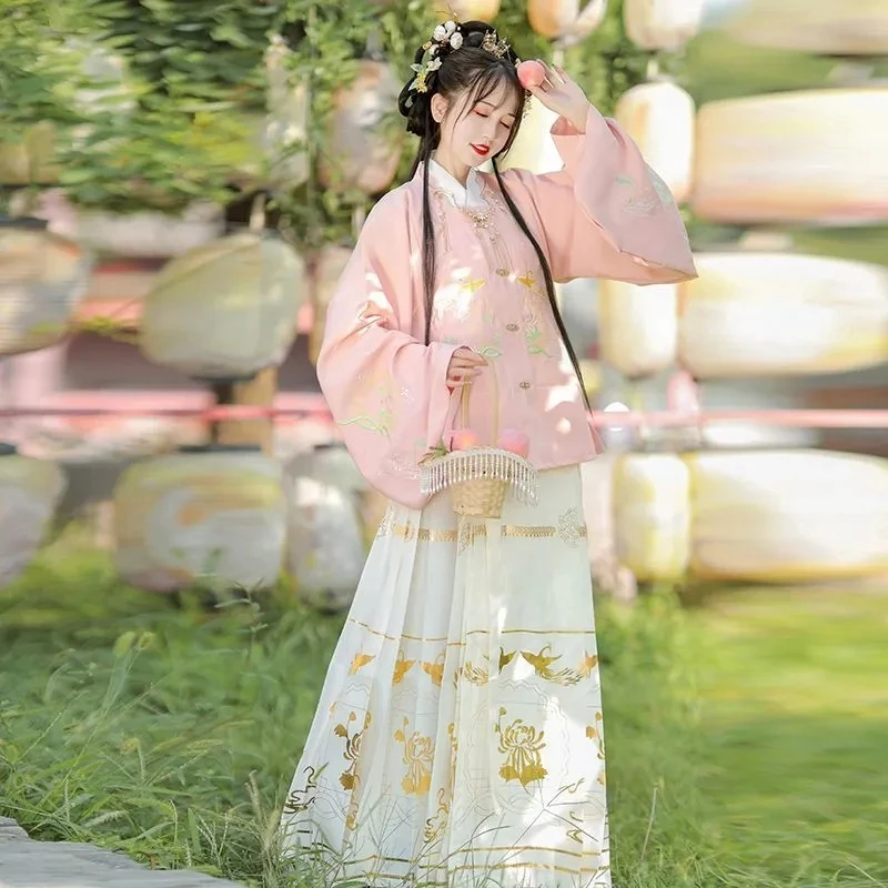 Vestido chinês hanfu feminino, fantasia cosplay, tecelagem oriental, roupas bordadas, trajes de dança, dinastia Ming, outono