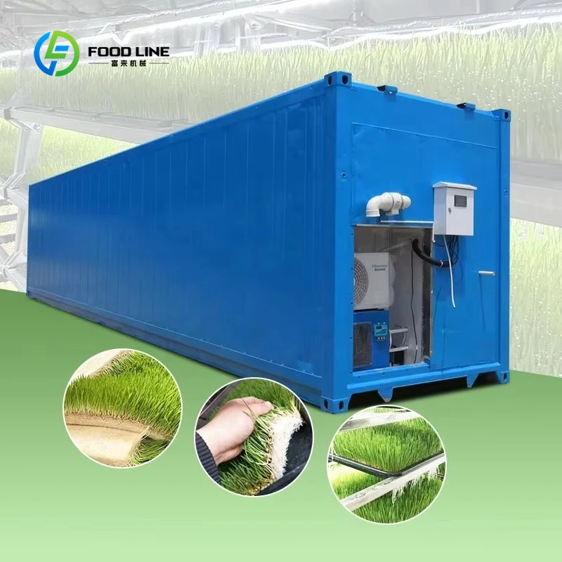Customized Hydroponic Forage Mushroom Fodder Fully Automatic Farm System Growing Grow Container Bean Sprout Farming Machine