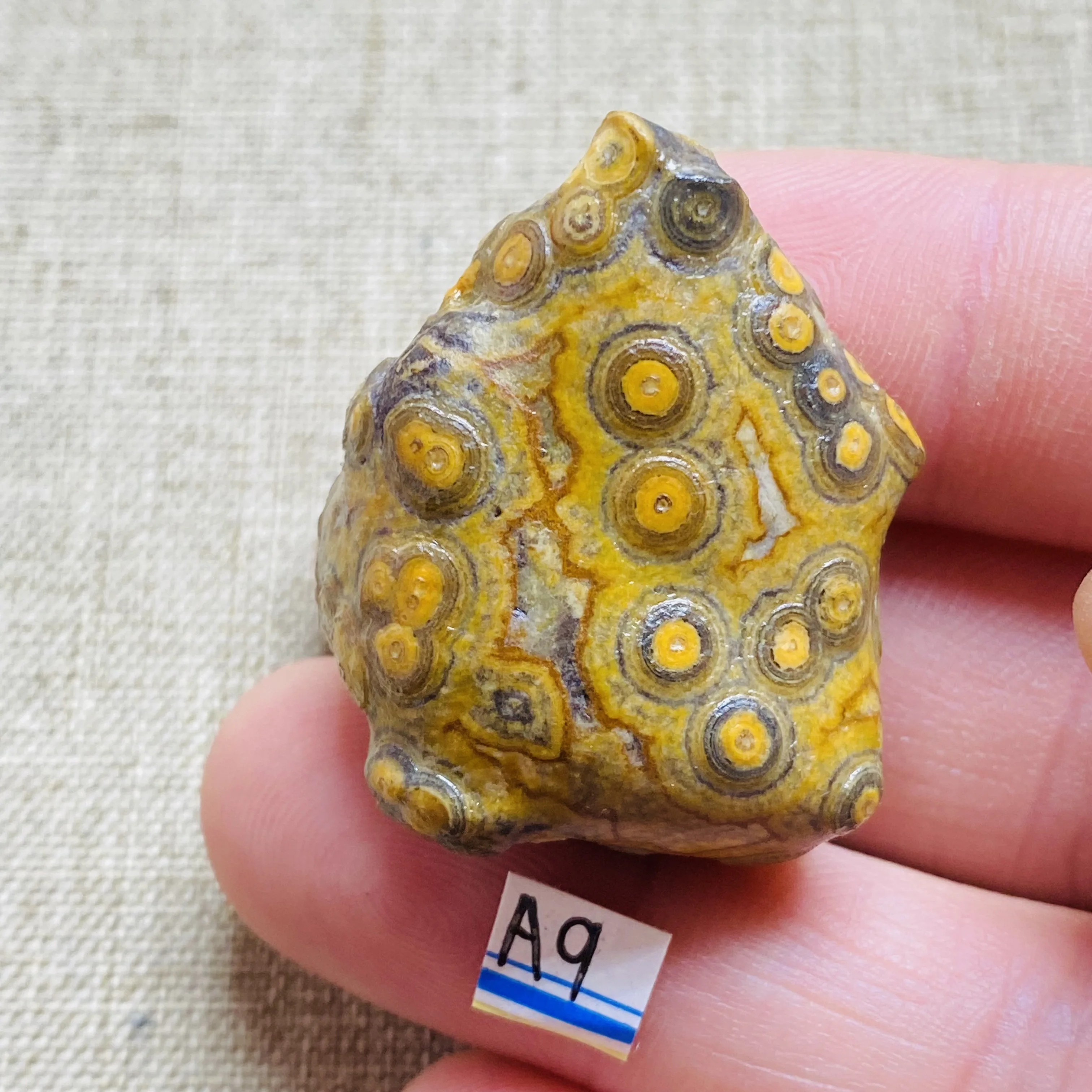 

AAA+Natural Gobi stone Mineral Specimen Quartz Energy Chakra Reiki Crystal Healing Stone Wedding Home Decoration