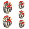 PE13448CT