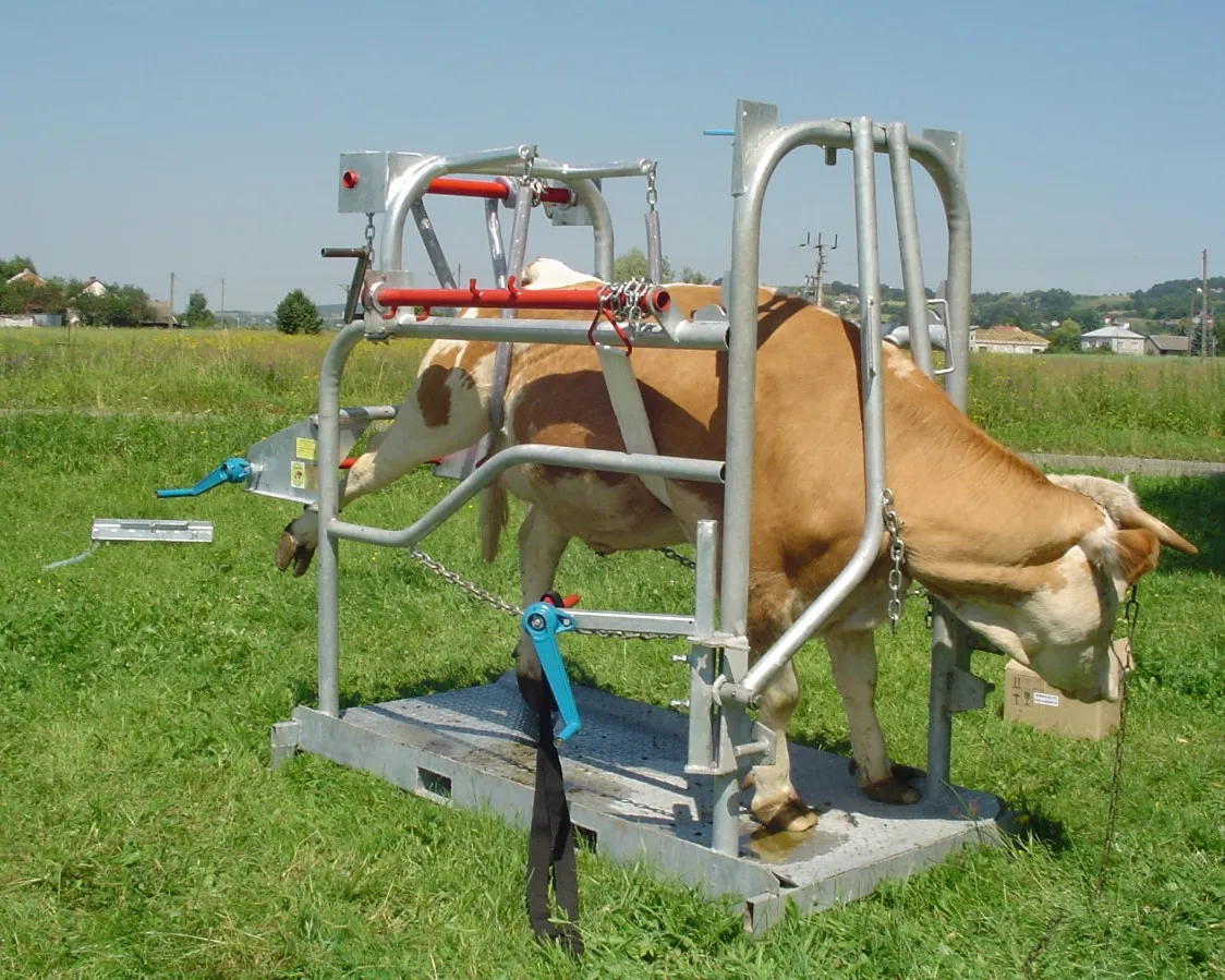 

2025 Cattle Hoof Trimming Machine