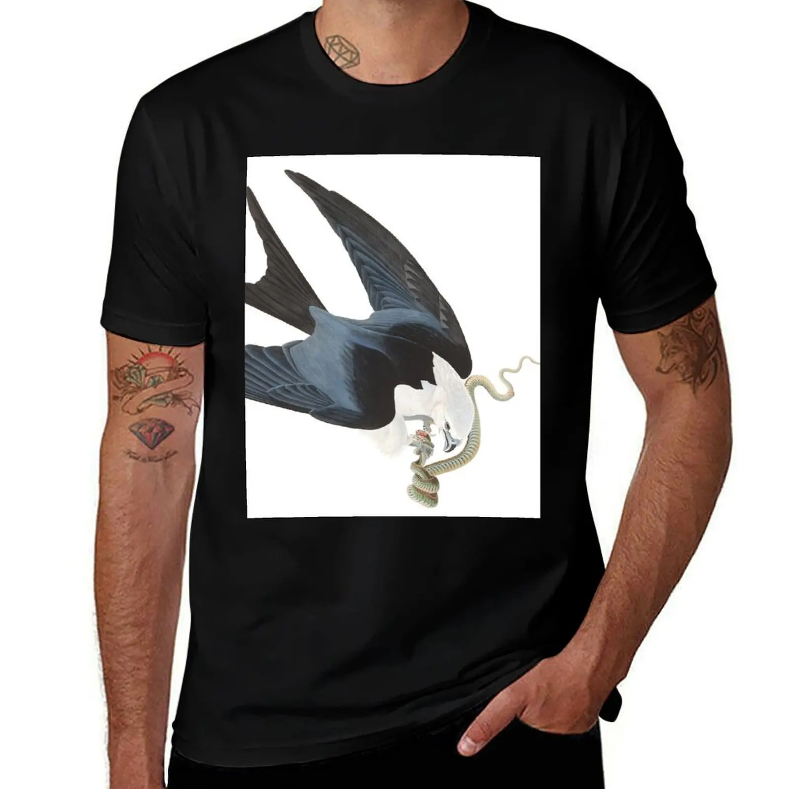 Swallow-tailed Kite - John James Audubon T-Shirt Plus Size Summer Short Sleeve T-Shirt