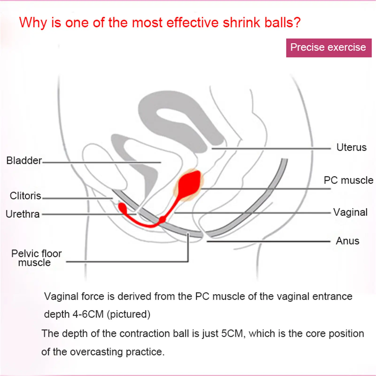 Pelvic Floor Exercises Floor Trainers Support Urinary Incontinence Muscle Tightening & Pelvic Prolapse Help for Urinary MIAO-US