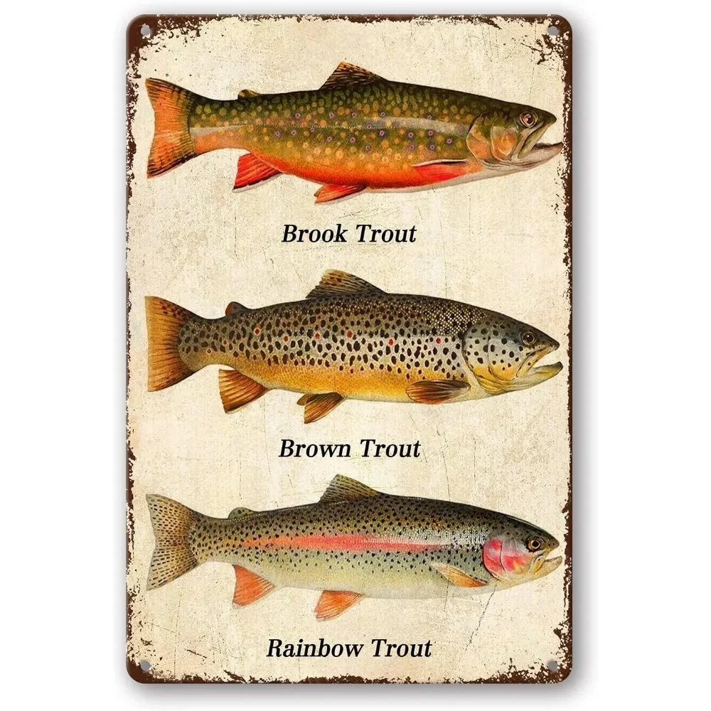 Vintage Aluminium Three Types Trout Fish Identification Tin Sign, Fishing Chart Wall Decor for Cabin & Fishing Man Cave Home