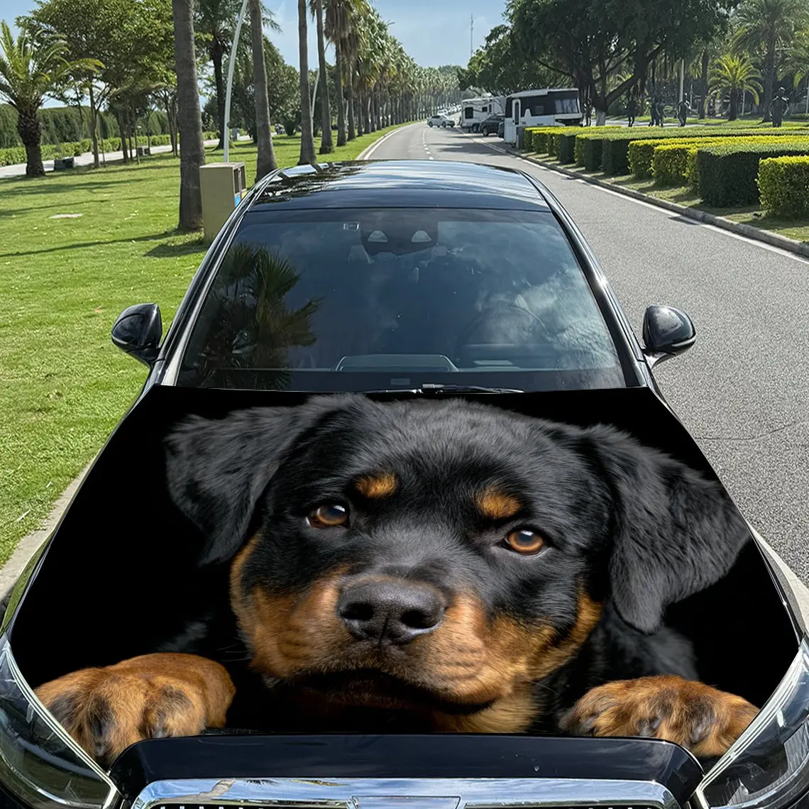 Rottweiler Pattern Car Hood Sticker-waterproof And Scratch Resistant PVC Car Sticker, Suitable For Cars, Trucks, And SUVs-easy T