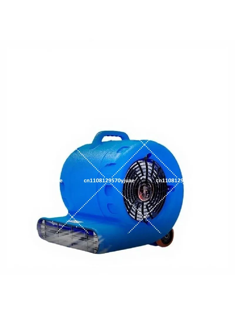 220V Carpet & Floor Dryer for Pet Hair, Portable Hair Dryer for Rugs, Fast Drying