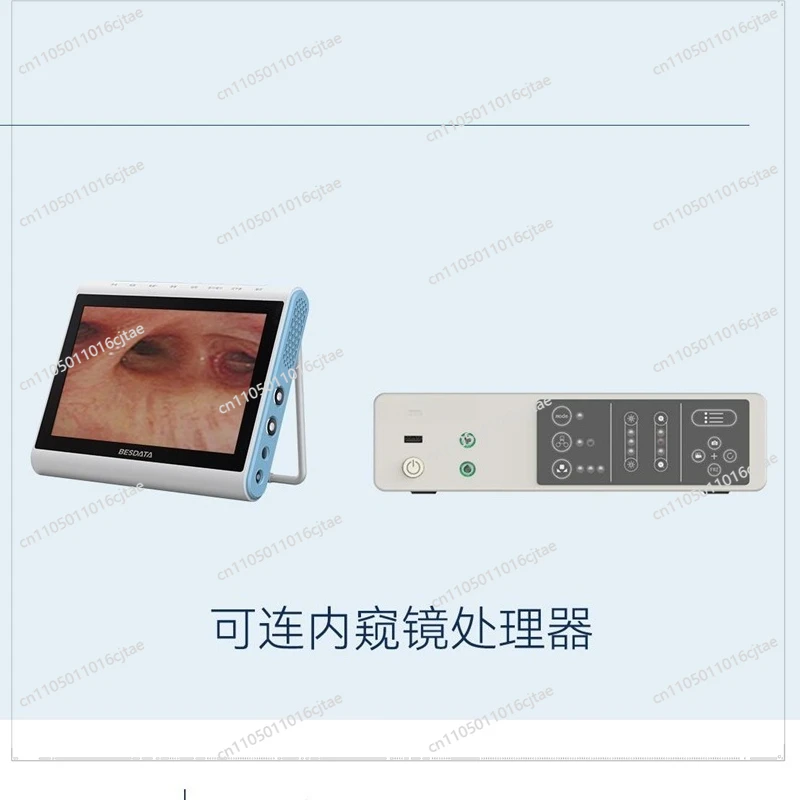 For Veterinary Pet Endoscope Portable Animal Endoscope Gastrointestinal Two-turn Electronic Soft Scope for Pet Hospital