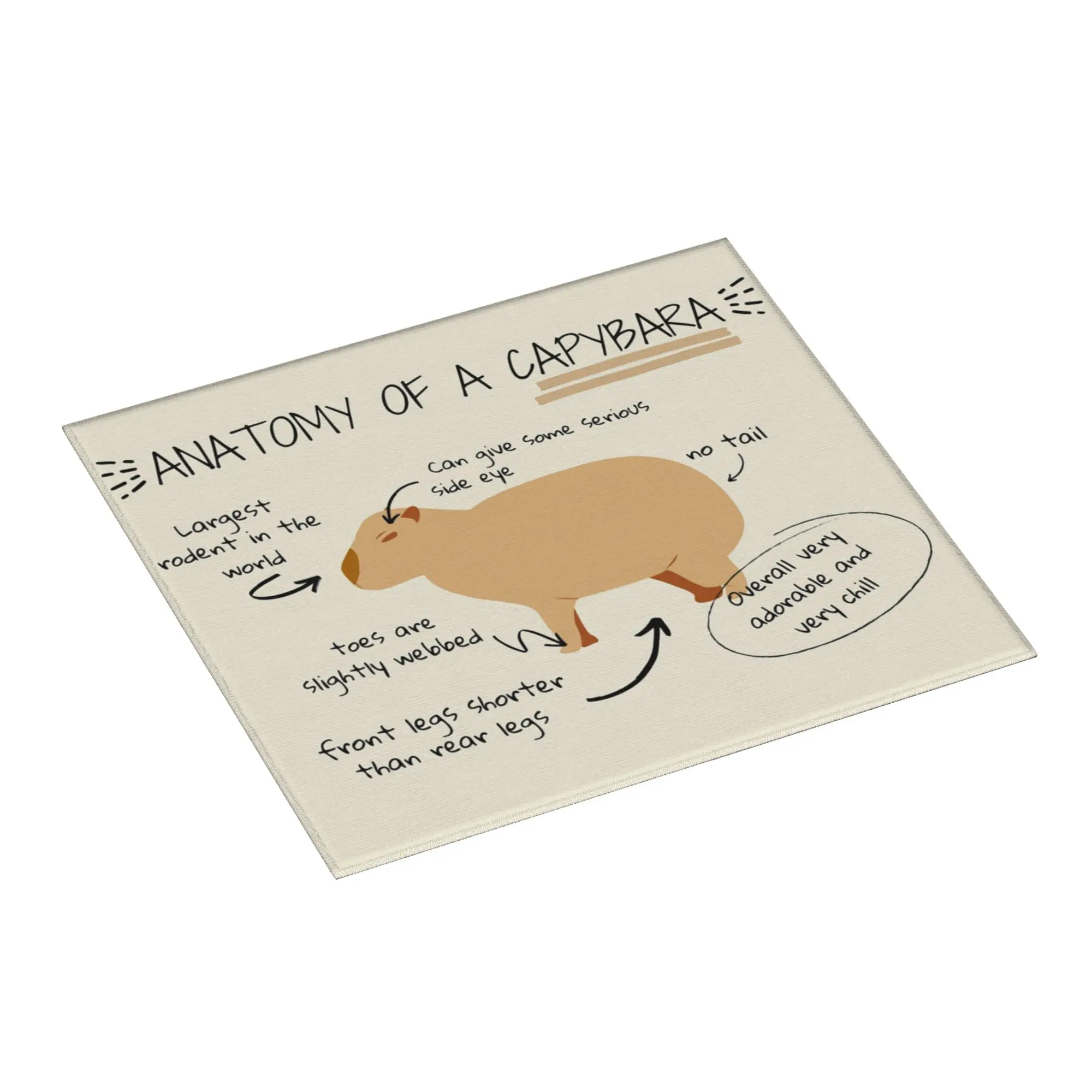 Drying Mat For Kitchen Anatomy Of A Capybara Water Absorbent Waterproof Reusable  On Slip Kitchen Counter Protector Mat