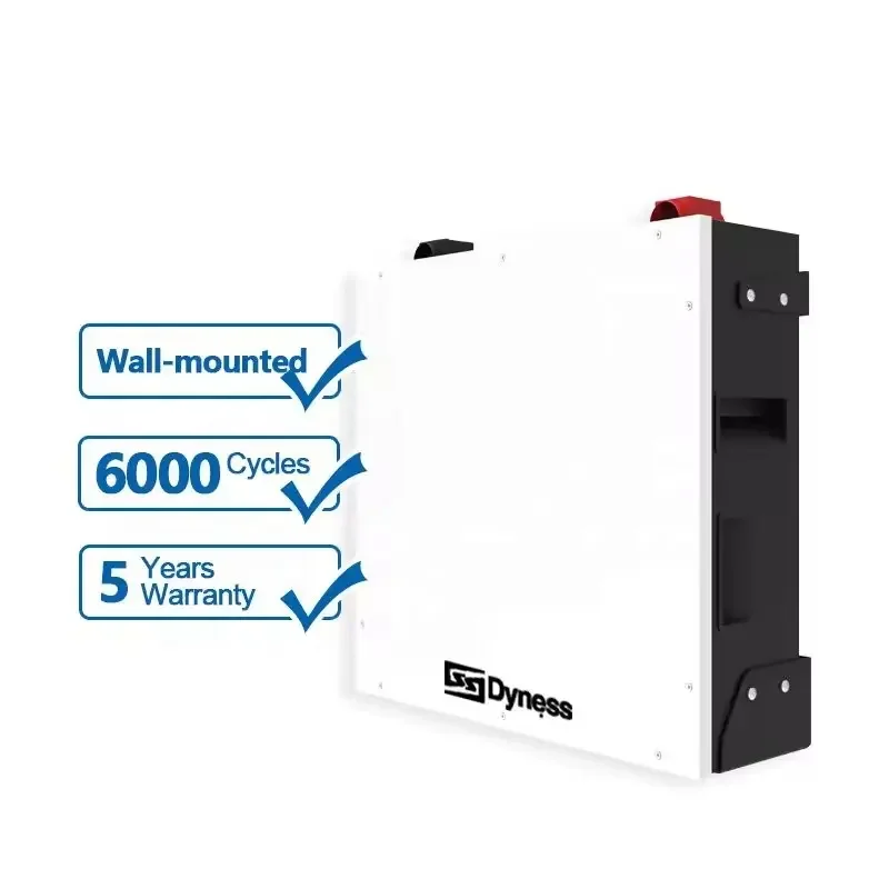 Dyness BX51100 51200W Power Wall Mounted Battery Pack 51.2V 100AH 5KWH Home Energy Storage With BMS Lithium Ion Lifepo4 in Stock