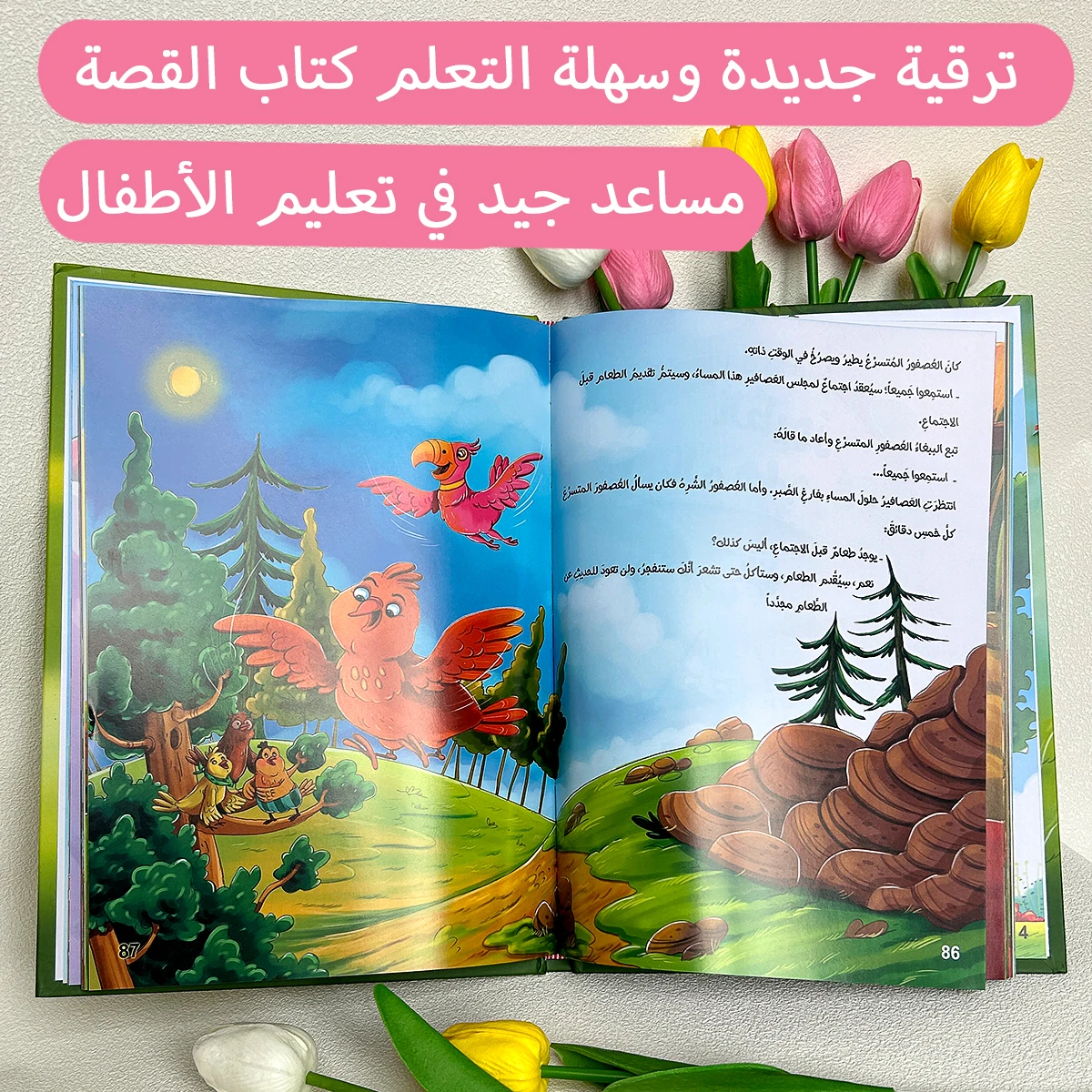Arabisches Hardcover-Gutenachtbuch – Lebendige, fesselnde Illustrationen erregen die Aufmerksamkeit und fördern die Sprachentwicklung