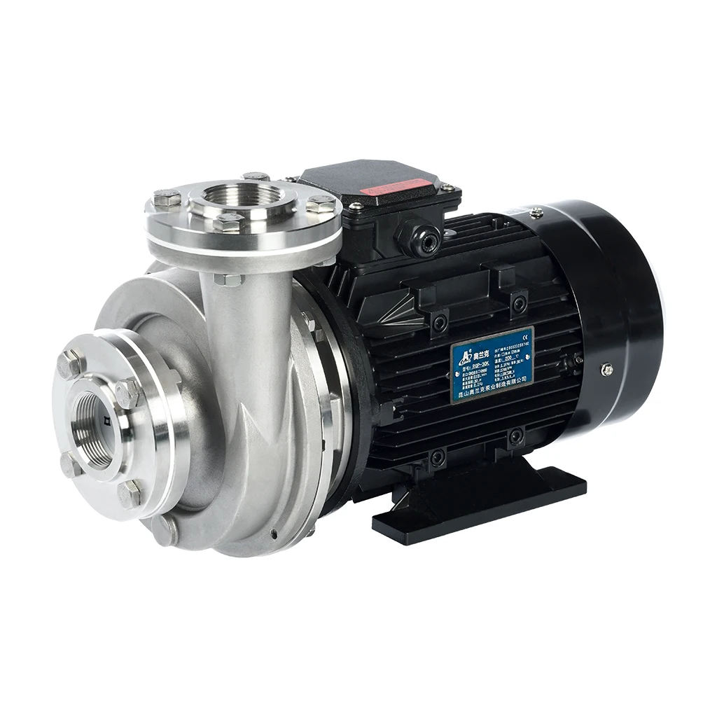 RGP Horizontal Food Hot Oil Stainless Steel Centrifugal Pump