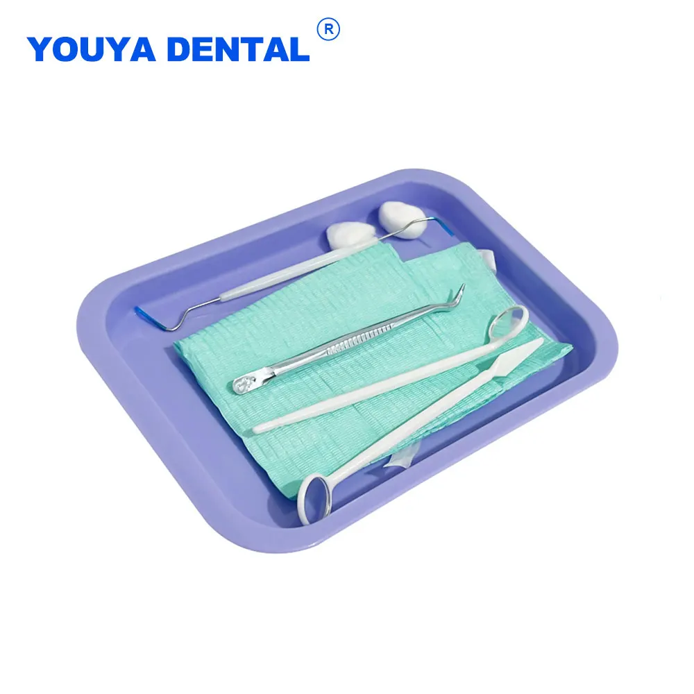 Autoclave Dental Plastic Trays Pallets Tray Instrument Holder Box Segregated Placed Dentist Lab Consumable Clinic Supplies