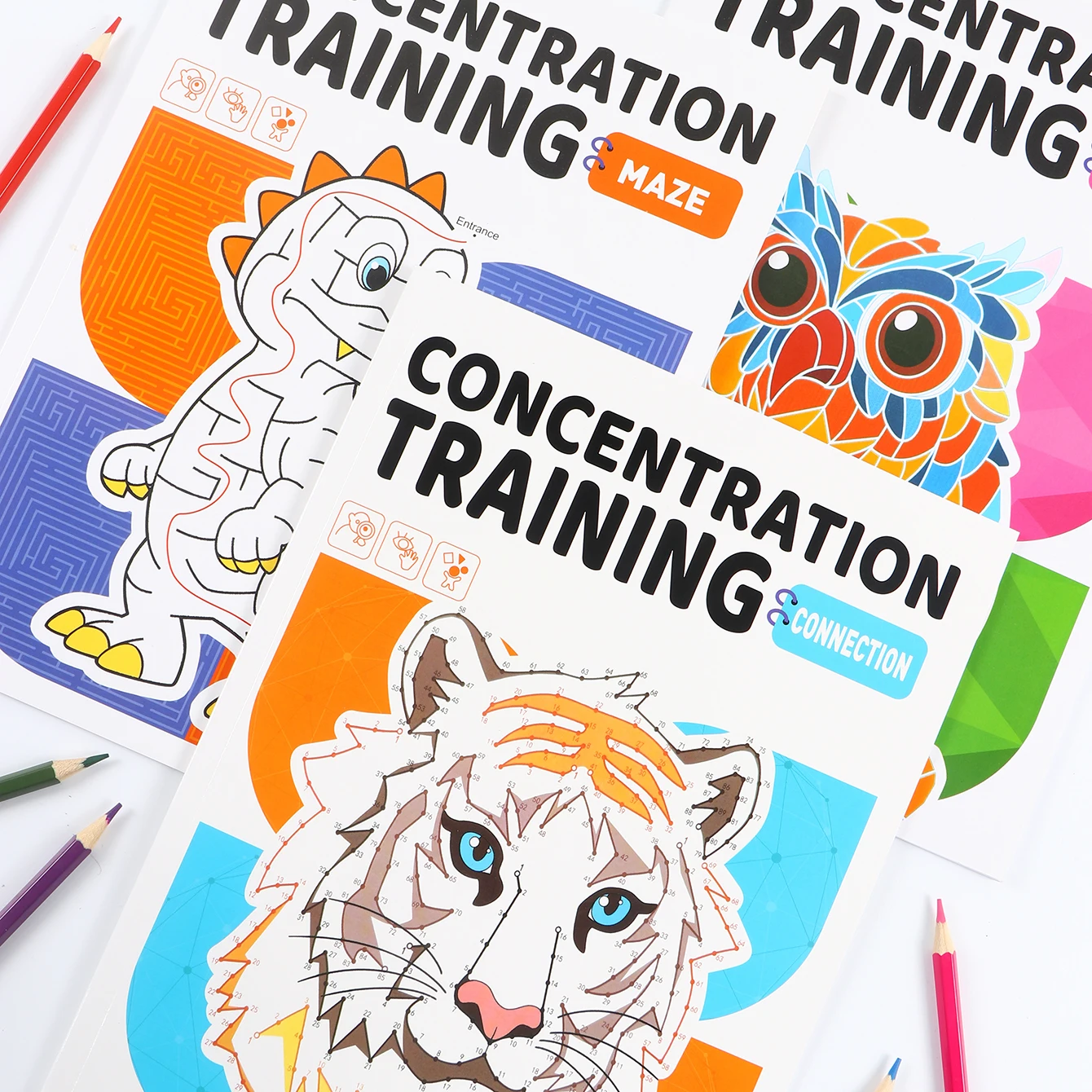 A4 Activity Coloring Book - Educational Art for Beginners & Lovers with Dinosaurs Animals Plants & Flowers Learn as You Create