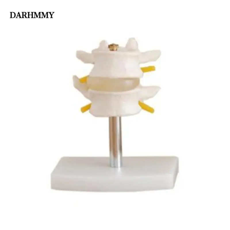 Darhmmy Human Skele…