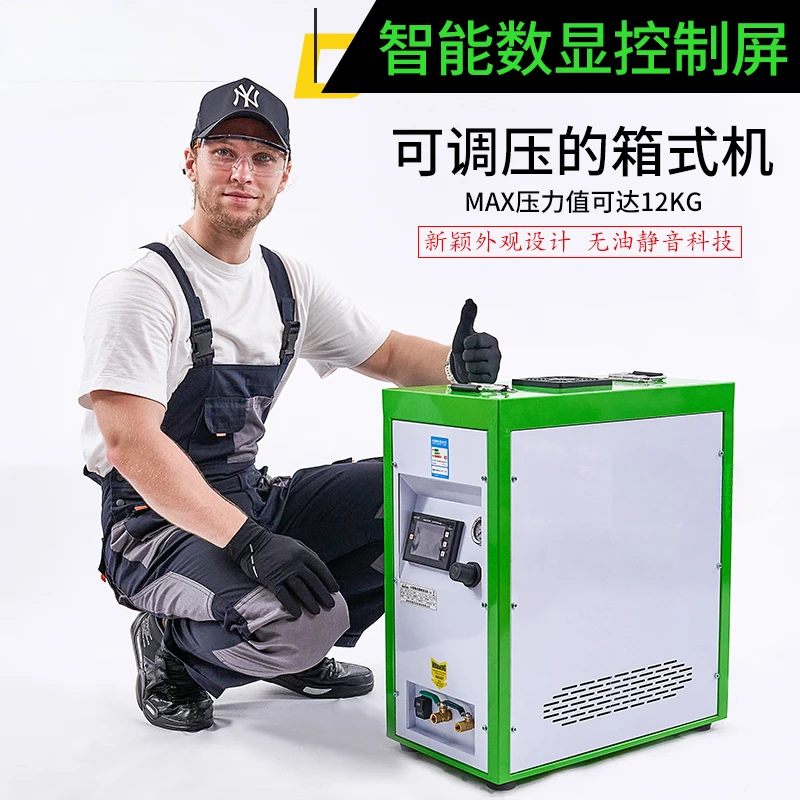 Portable Air Compressor Oil-Free Bass 220V Woodworking Painting Air Pump Small Air Compressor