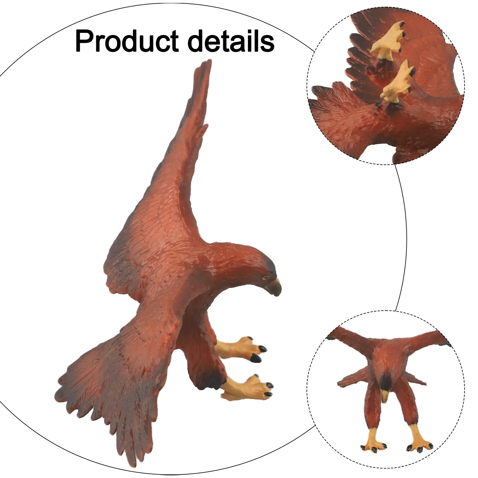 Educational Plastic For Eagle Model Realistic Decoration for Tabletops and Shelves Great for Learning About For