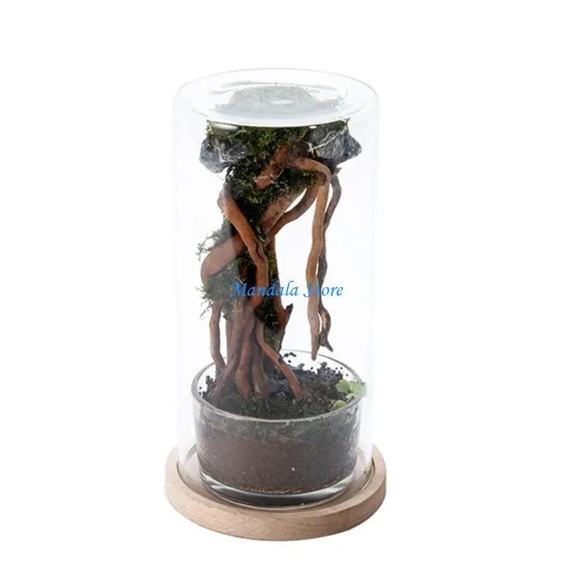 

U2JC Compactly Plant Glass Bottle Plant Habitat For Desk Or Bookshelf Decoration
