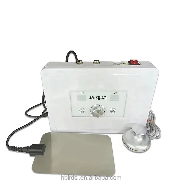 Health Care Instrument body DDS Bio Electric Device Bioelectric Therapy Massager red light therapy machine