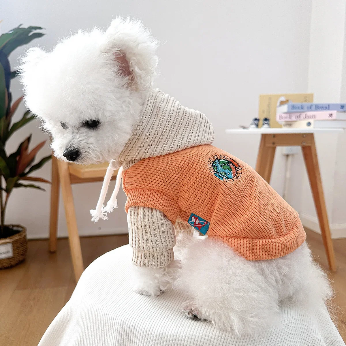 Pet Color Blocking Hoodie Puppy/cat Drawstring Undershirt Pet Hooded Hoodie Dog Clothes for Small Dogs Puppy Clothes Small Dogs