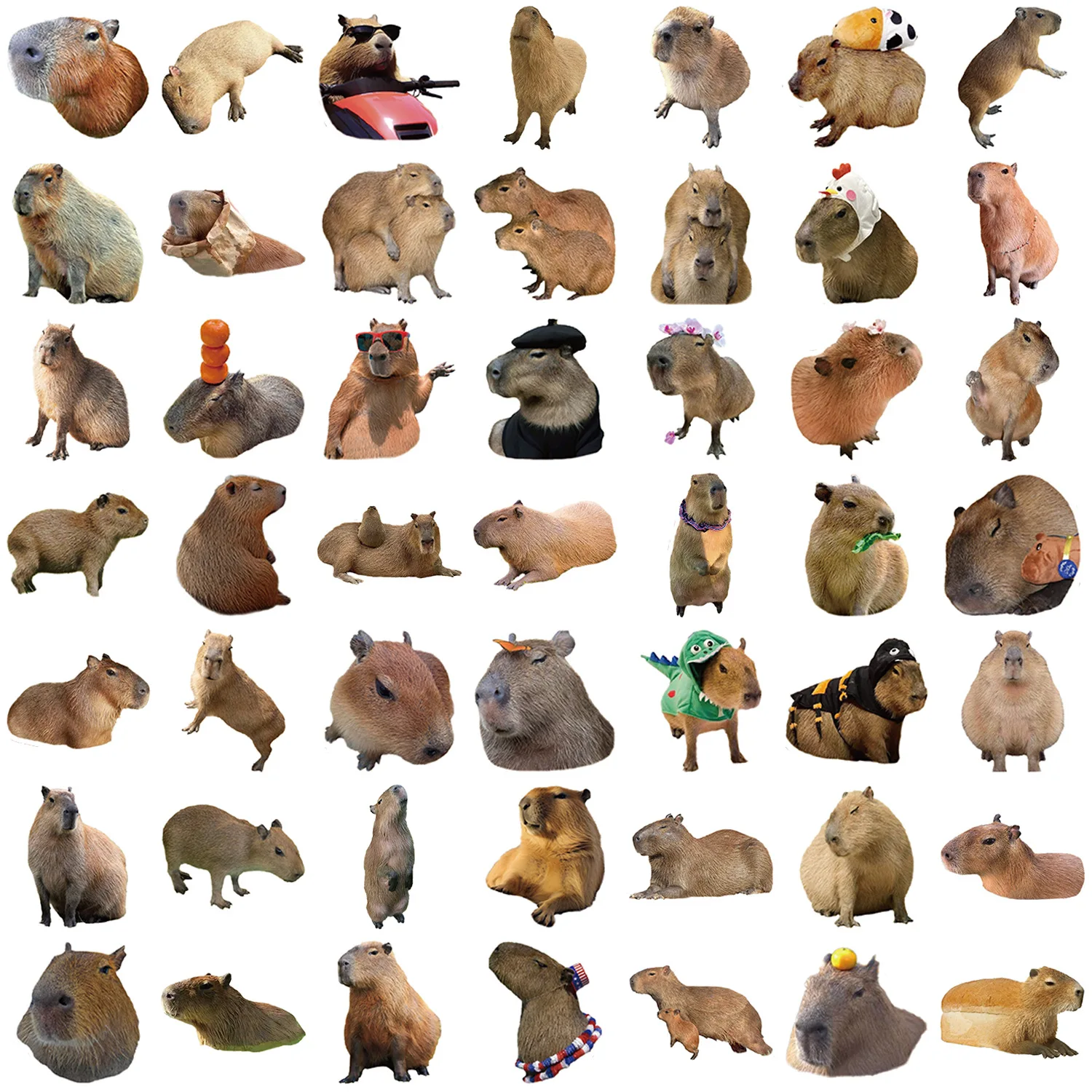 50PCS Nette Capybara Tiere Graffiti Aufkleber DIY Telefon Gitarre Laptop Notebook Koffer Wasserdicht Cartoon Aufkleber Kinder Spielzeug