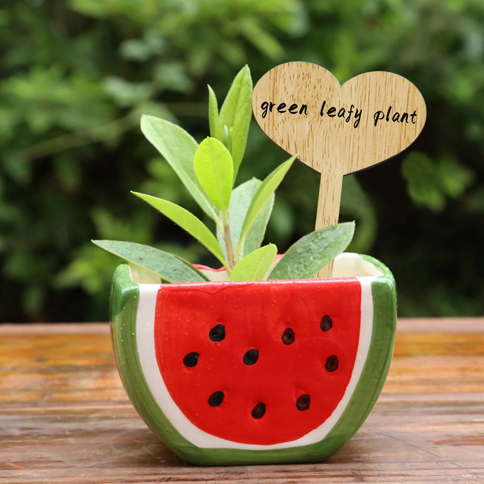 30Pcs Wooden Garden Markers Stakes Heart/Butterfly Shaped Plant Labels Herb And Vegetable Plant Tags Sticks For Indoor Flowerpot