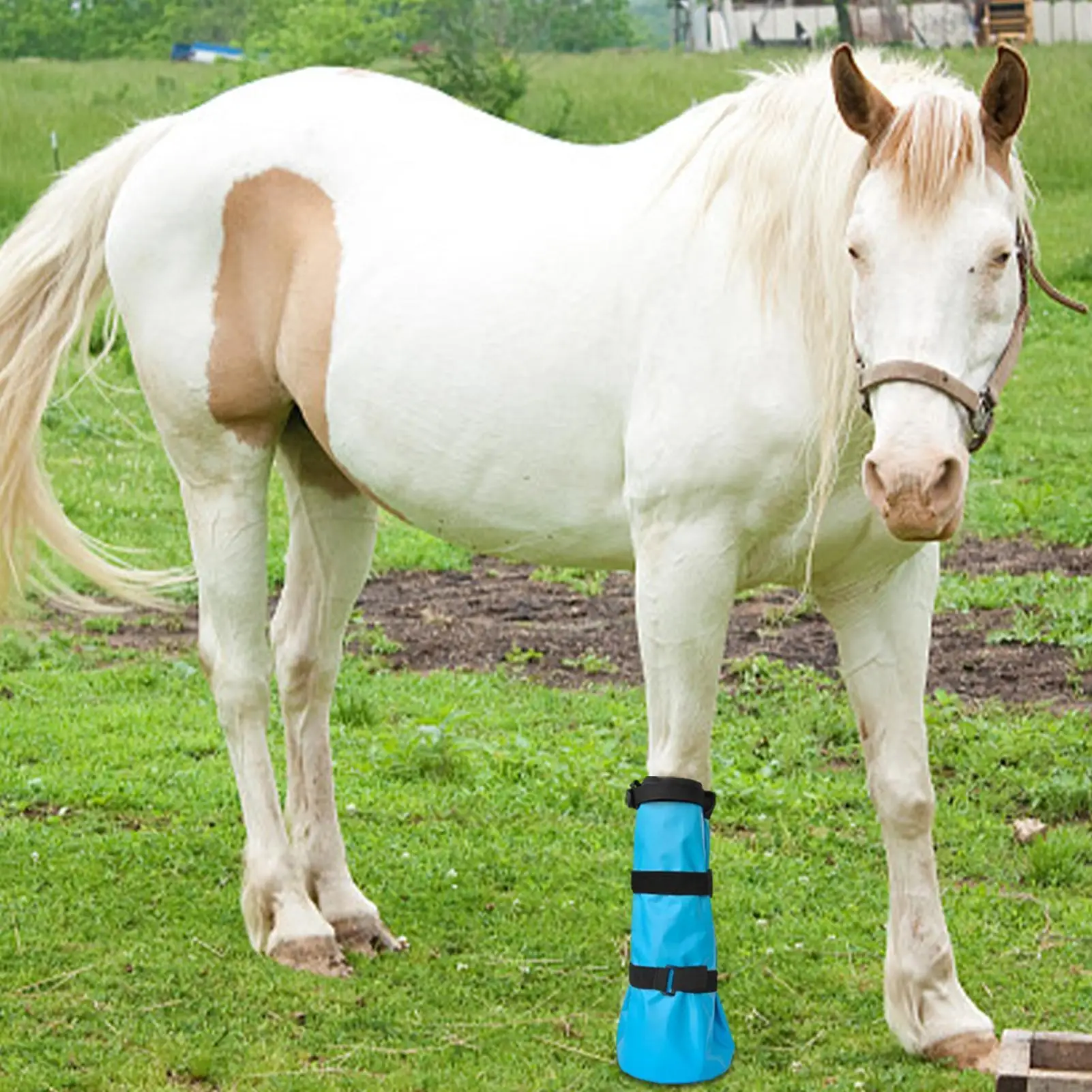 horse-hoof-boots-protective-leg-care-with-eva-pad-horse-leg-wraps-soaking-boot-for-equine-livestock-abscess-thrush-poultice