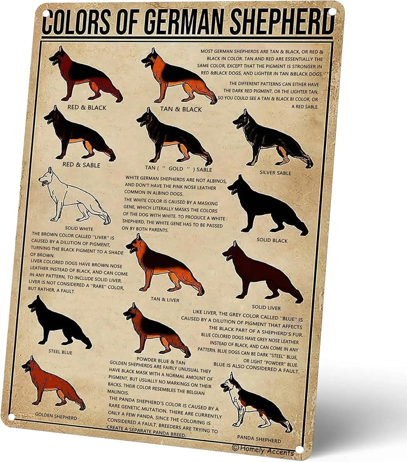 Vintage Colors Of German Shepherd Metal Tin Sign, Educational Poster for Dog Lover Kids, for Farmhouse, Bathroom, Cafe, Clu sign