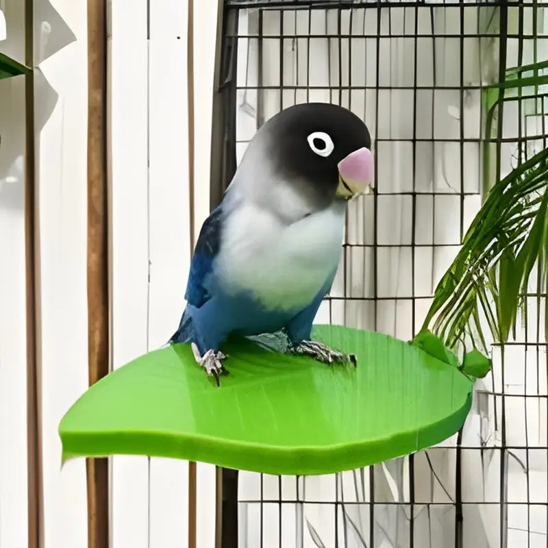 

Bird Perch Stand Leaf Shape Bird Stand Parrot Bird Stand Parrot Play Training Stand Pet Supplies Bird Cage Perch Accessories