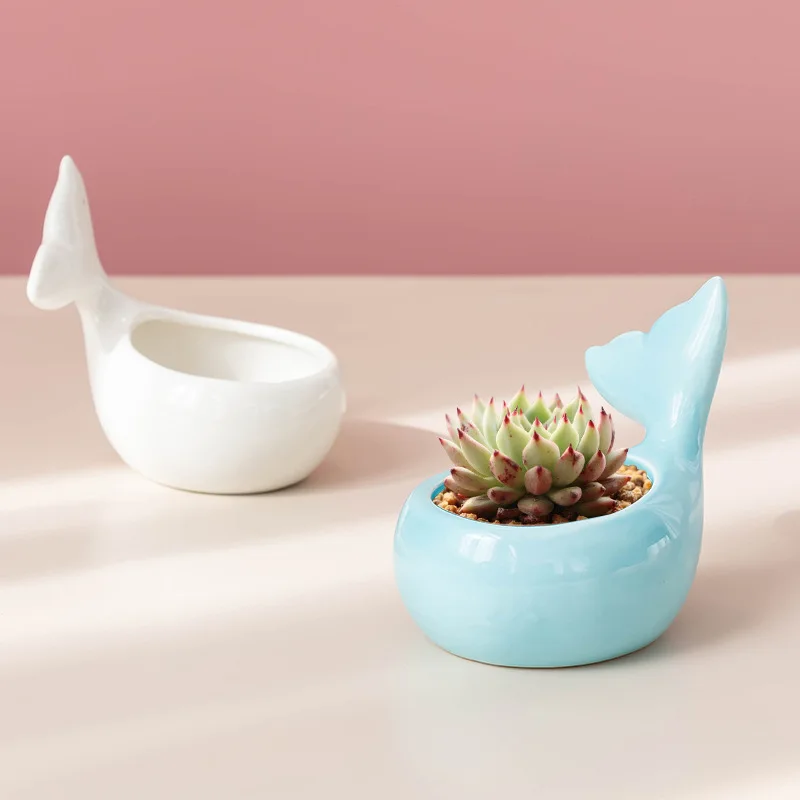 Cute Whale Flower Pot Succulent Pot Ceramic Planter Home Decor Desktop Ornaments Bonsai Plant Pot Garden Decoration