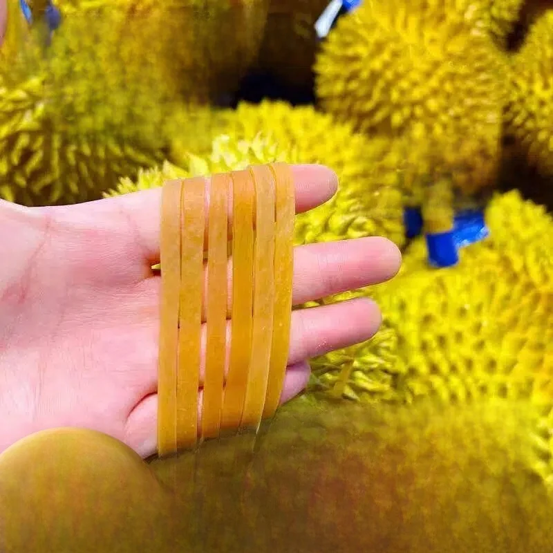 elastico-largo-e-grosso-de-latex-amarelo-para-amarrar-frutas-durian-corda-elastica-duravel-especial-para-durian