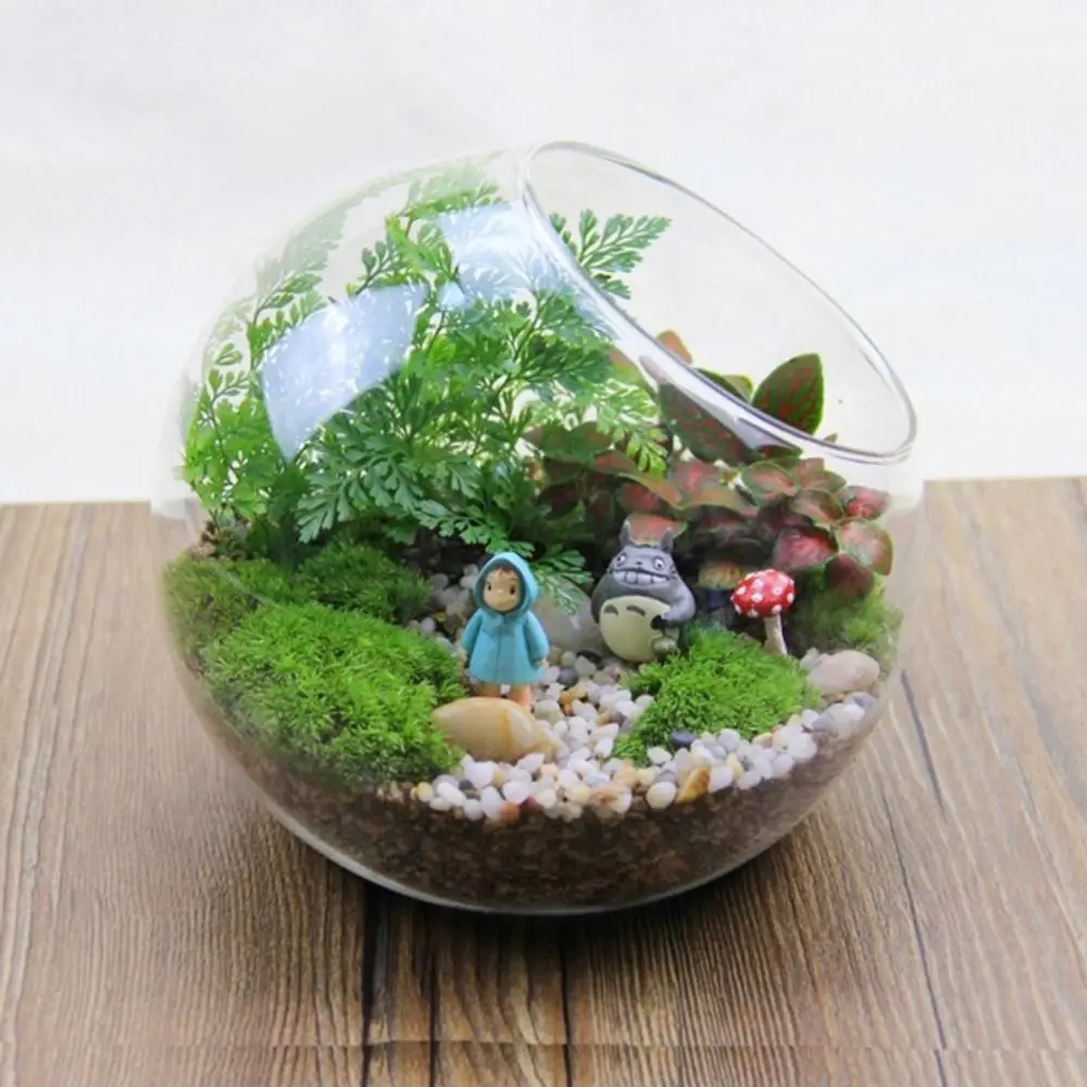 Creative Micro Landscape Transparent High Borosilicate Glass Vase Moss Succulent Plant DIY Ecological Bottle Home Decoration