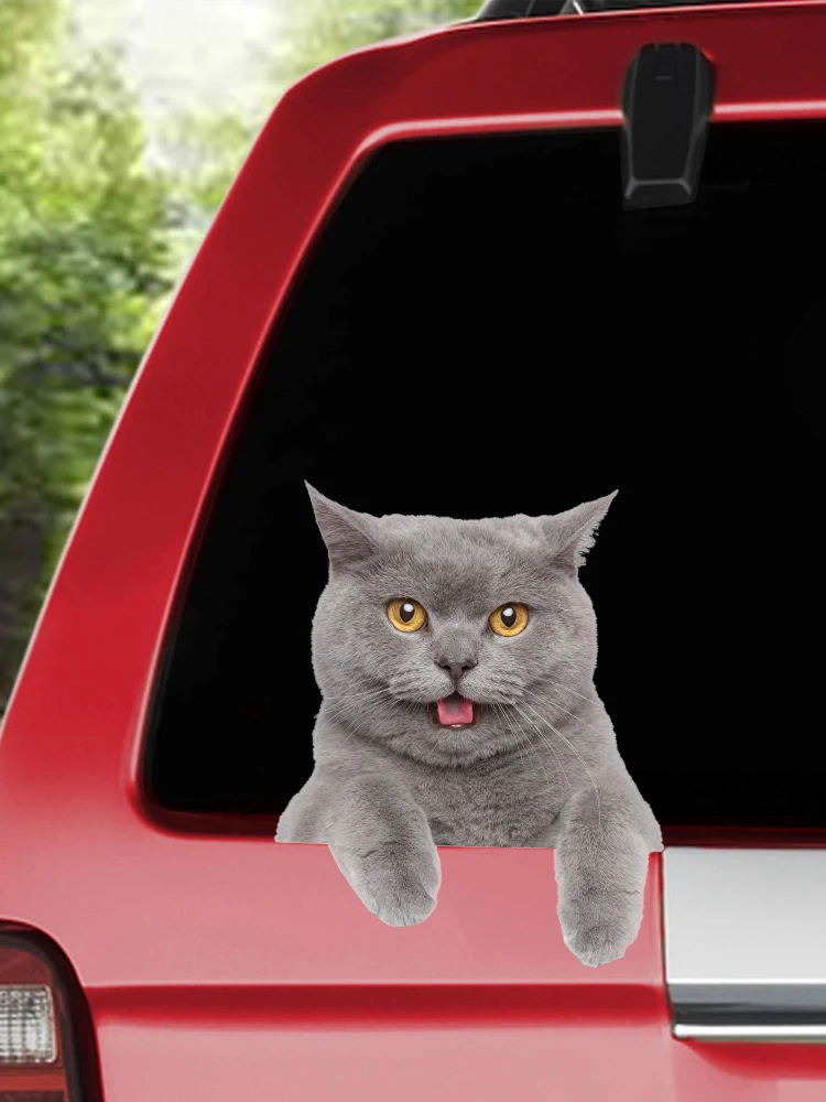 British Shorthair Cat Car Sticker Waterproof Accessories Vinyl Decal on Bumper Rear Window Laptop