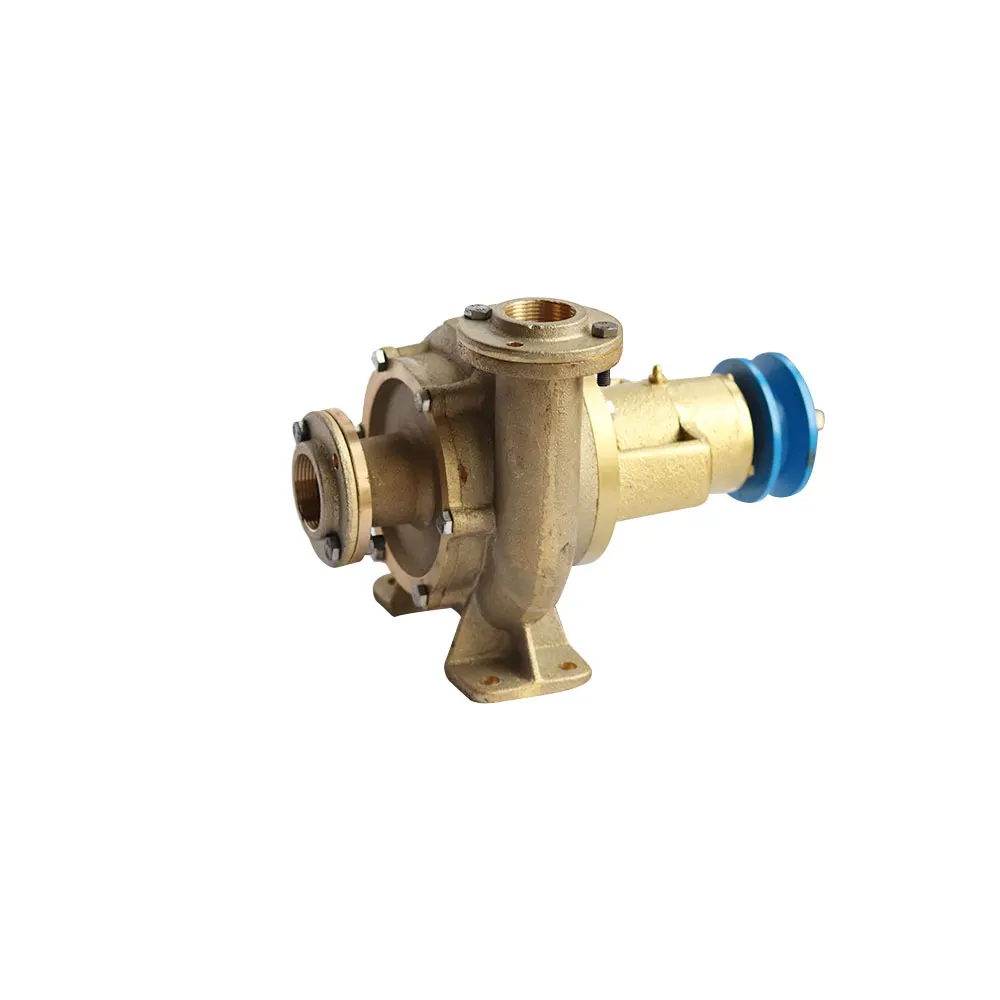 

Haisheng sea water pump marine water pump for marine machinery parts without motor for boat