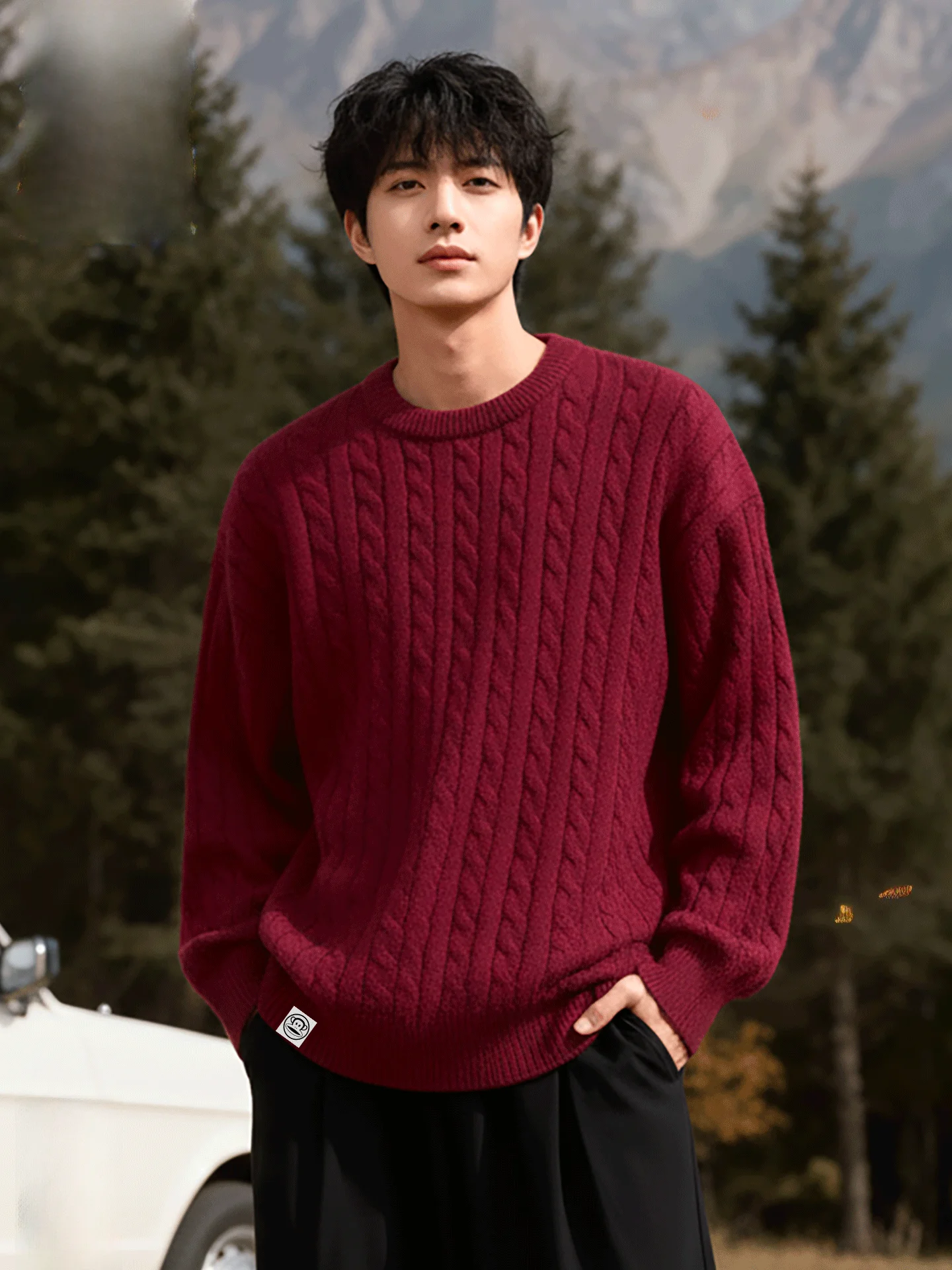 

Monkey round Ne Knitted Sweater Men's Autumn Winter Wine Red Turtlene Twist Knitwear Faionable Ci Sle