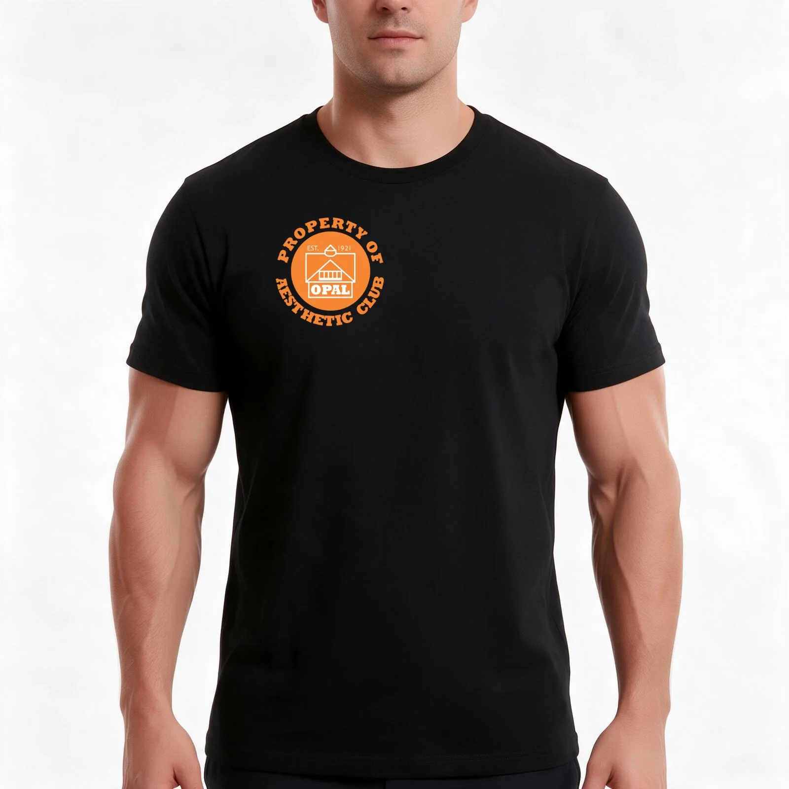 OPAL-Property of Aesthetic Club-Logo T-Shirt, Summer Casual Cotton Tee, Oversized Streetwear Tops, Vintage Graphic Print