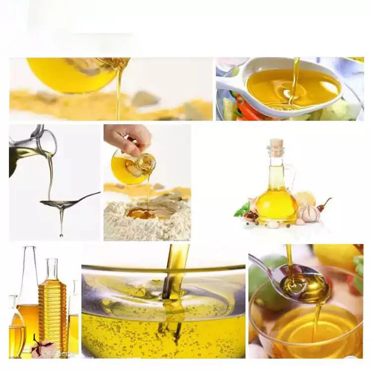 Small Home‑Commercial Automatic Oil Press Machine Cold Press Technology with Durable Gear Motor & Bearing Core Components