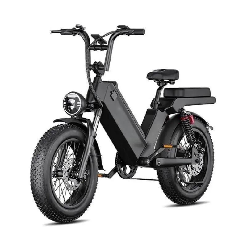 

Cheap electric Bicycle 1000W 48V ELECTR BIKE 20 inch Folding ebike off road electric bike