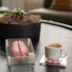 10PCS Coasters Organ Brain Specimen Handwash Table Coaster Cup Mat