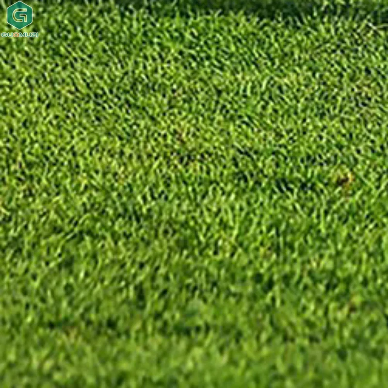 サイズ 2 サッカーボール ユース 大人用 耐摩耗性サッカーボール アウトドア スポーツ ゲーム トレーニング 練習 プレイボール 誕生日プレゼント